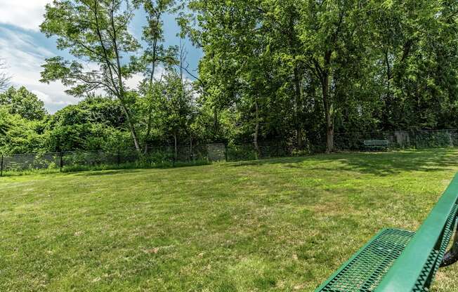 A green bench sits in a grassy field with trees in the background