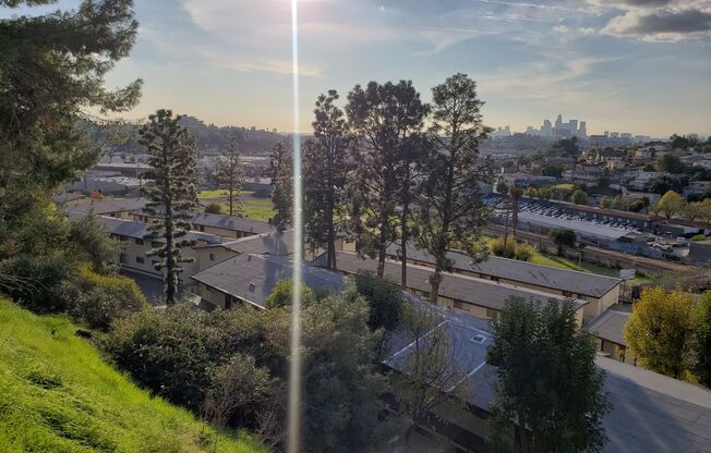 1 bed, 1 bath, 541 sqft, $1,645, Unit 1948-308