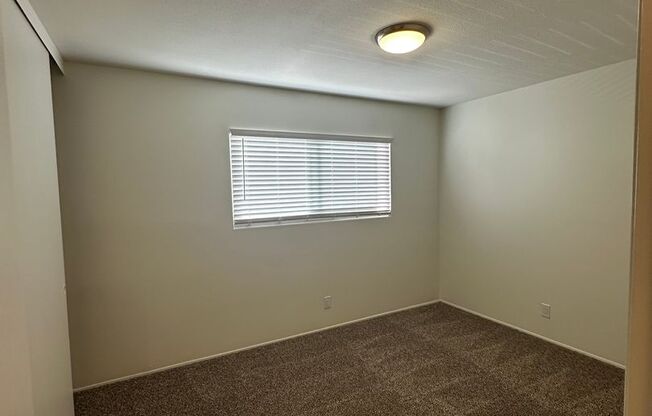 1 bed, 1 bath, $2,200, Unit 1159 E Meta St Apt #5