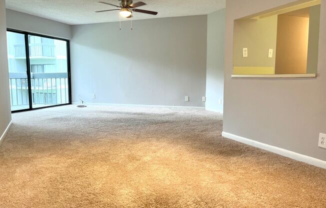 1 Bed/ 1 Bath Near The Outlet Mall - *Water Included*