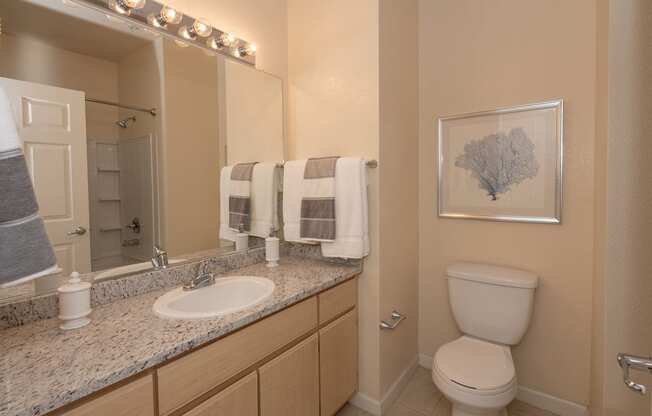 Stoneridge model 2 primary bathroom