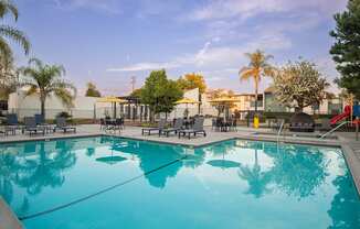 A large swimming pool with a reflection of the surrounding trees.