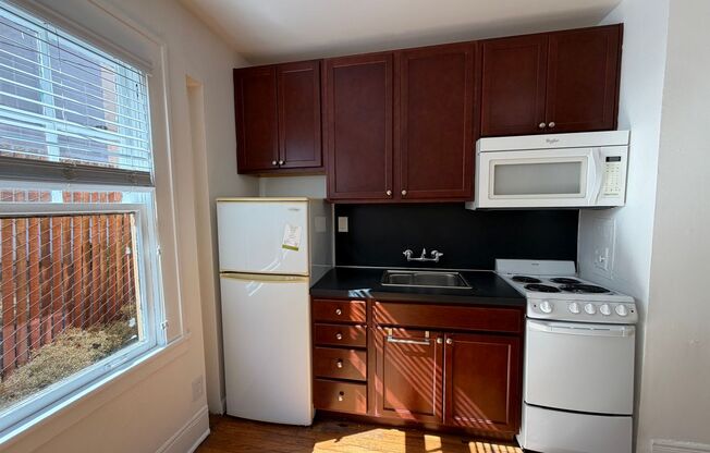 Studio, 1 bath, 308 sqft, $1,099, Unit 16