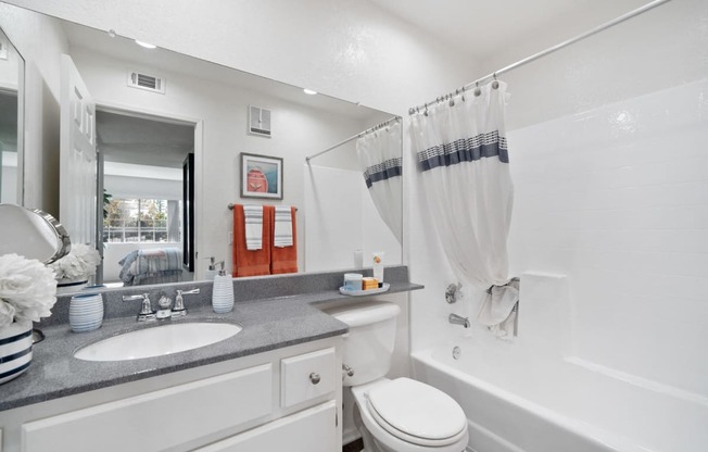 a bathroom with a sink toilet and tub and a mirror