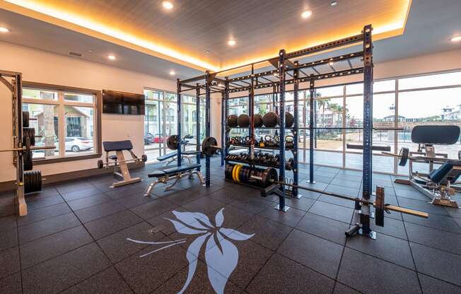 Apartments for Rent Lewisville TX - Spacious Fitness Center with Weight Station, Squat Rack, and TV