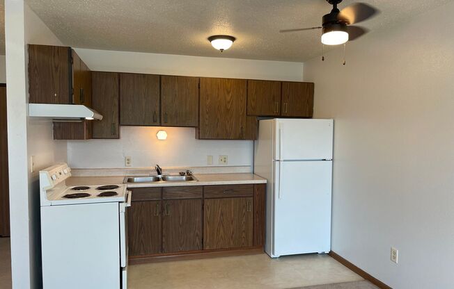 1 bed, 1 bath, 465 sqft, $595, Unit 1929-28