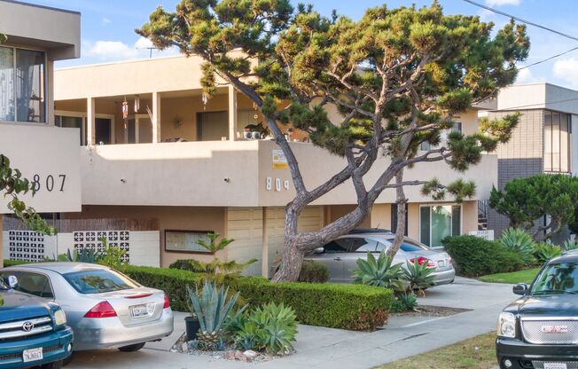809 Edgewood Street