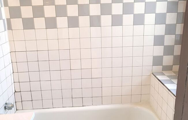 Studio, 1 bath, $725, Unit 301