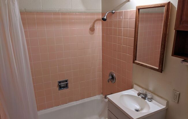 1 bed, 1 bath, 373 sqft, $1,200, Unit 310