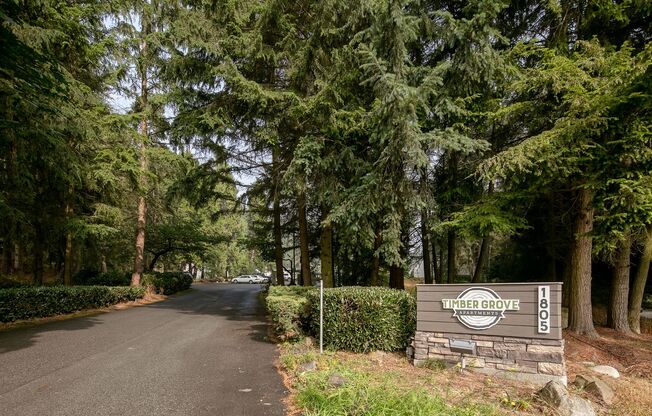 Studio, 1 bath, 250 sqft, $1,195, Unit 11