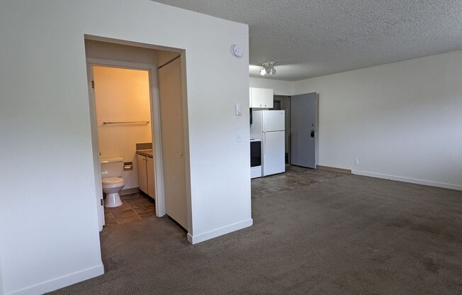 Studio, 1 bath, 350 sqft, $995, Unit 307