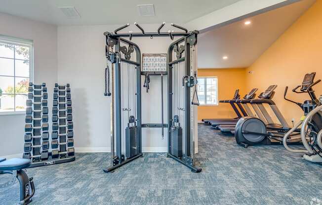 A gym with a large squat rack and a bench.