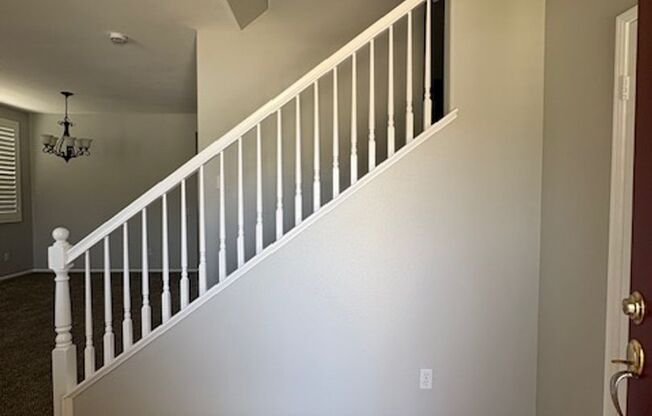 4 Bedroom with NEW Carpet & Paint