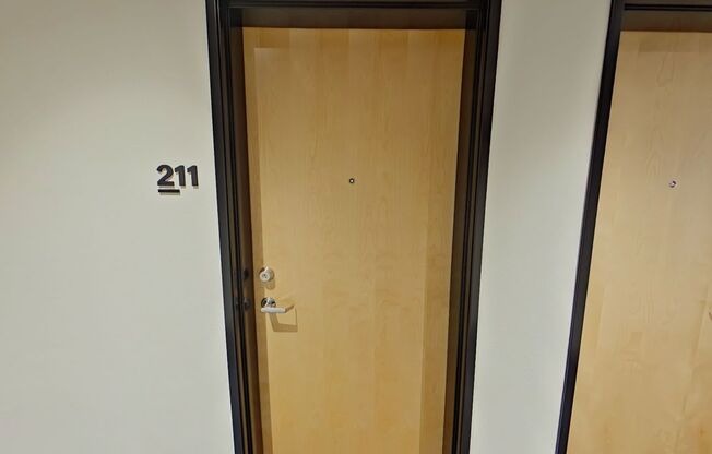 Studio, 1 bath, 314 sqft, $1,250, Unit 211