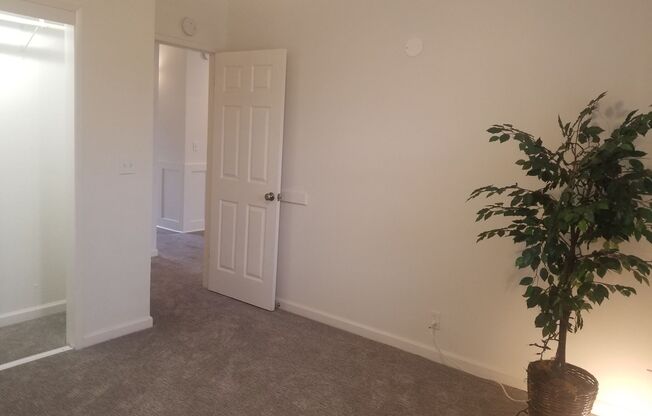 2 beds, 1 bath, 800 sqft, $1,595, Unit Apt 12