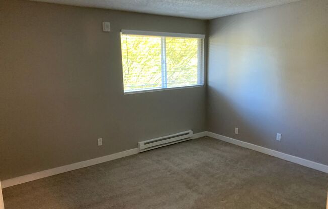 1 bed, 1 bath, 735 sqft, $1,695, Unit 3