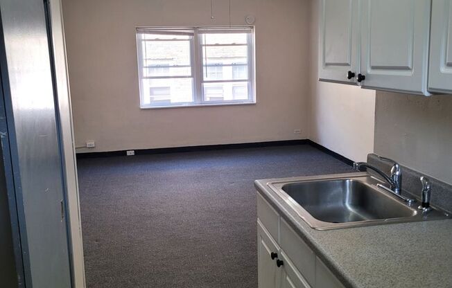 Studio, 1 bath, $795, Unit 107