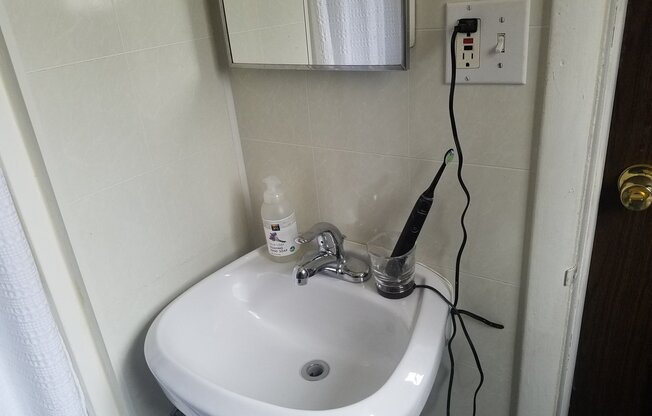 Studio, 1 bath, 300 sqft, $1,250, Unit #4