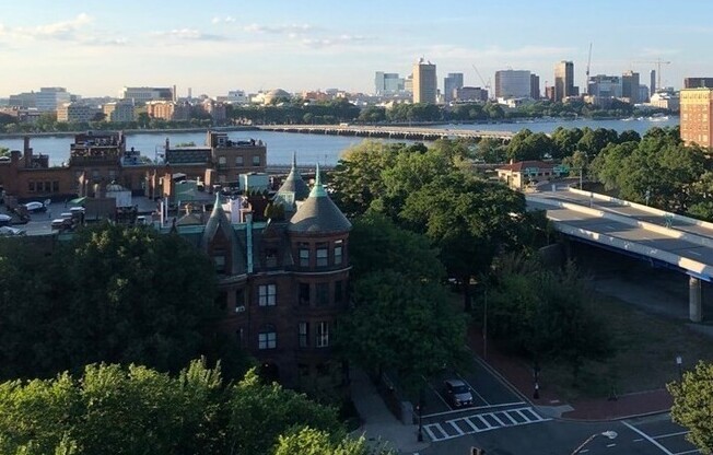 1 bed, 1 bath, 725 sqft, $3,000, Unit 44