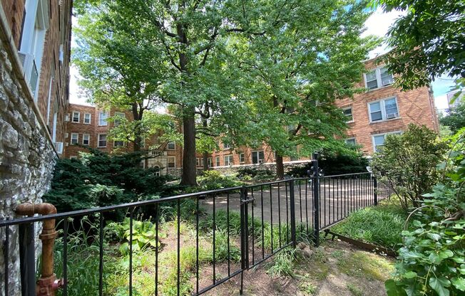 Studio, 1 bath, 400 sqft, $790, Unit 206
