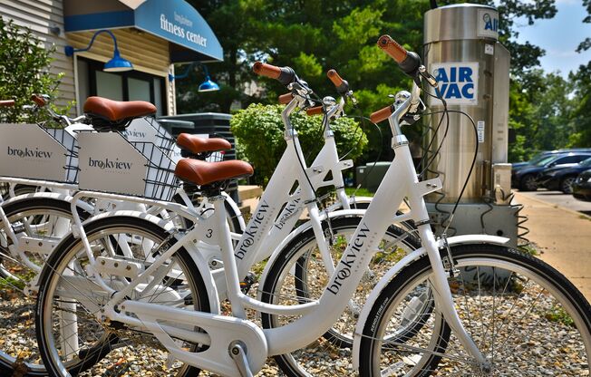 Bike Share