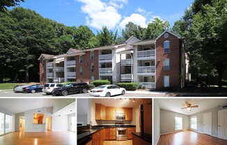 Updated top floor 2br with vaulted ceilings, two balconies and treed views!