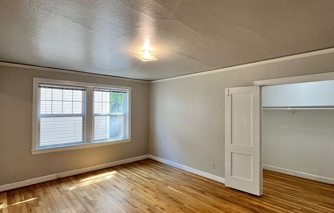 Studio, 1 bath, $1,295, Unit 207