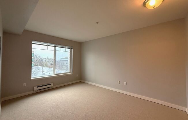 1 bed, 1 bath, 675 sqft, $1,550, Unit 504