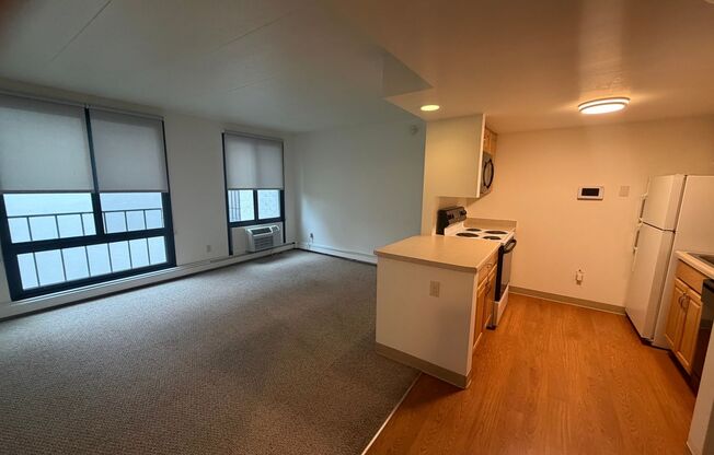 1 bed, 1 bath, 750 sqft, $1,095, Unit 203E