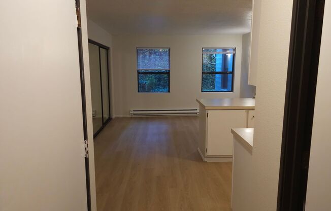 Studio, 1 bath, 495 sqft, $1,095, Unit 5