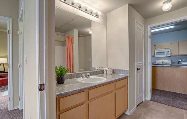 Memorial Creek Bathroom