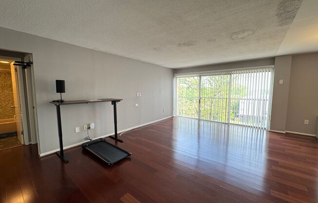 Light-filled Contemporary 1 Bedroom 1 Bathroom Unit In Refreshing Tanglewood - Utilities Included!