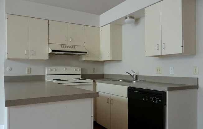 2 beds, 1.5 baths, $1,500, Unit 1223 A