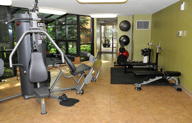 Fitness room with weights, yoga balls, pull machine, and large windows