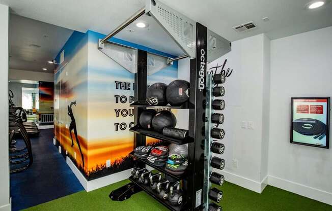 Colton Apartments free weights