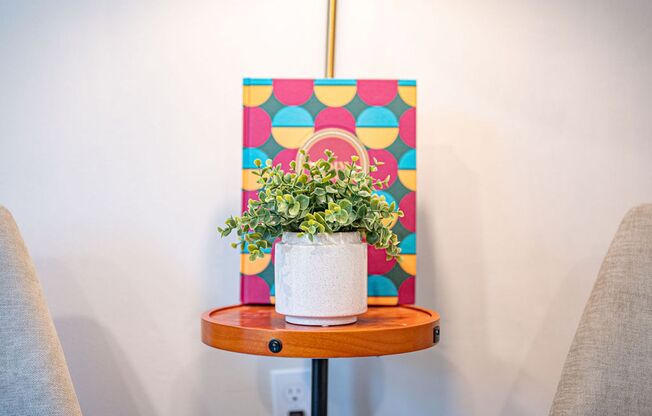 Studio, 1 bath, 350 sqft, $1,500, Unit 212