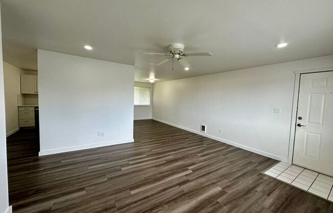 Available in July - 2025 Yew St!