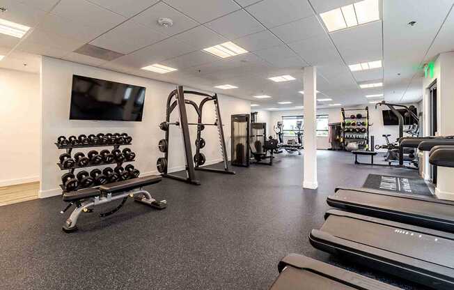 A gym with treadmills, weights, and exercise equipment.