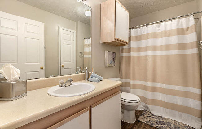 Brand New Finishes and Fixtures at Ridgeland Place Apartment Homes, Ridgeland, MS, 39157