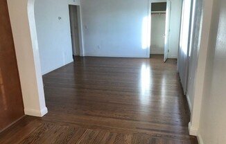 1 bed, 1 bath, 800 sqft, $1,595