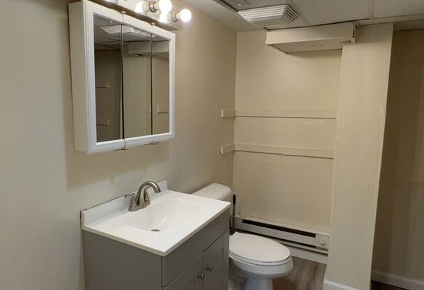 1 bed, 1 bath, 750 sqft, $550, Unit Apt. 1