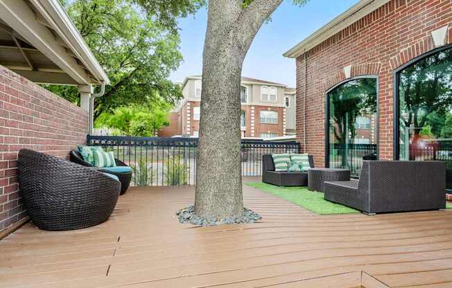 A tree in a yard with a bench and a chair.