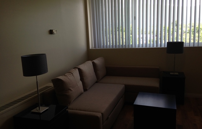 Studio, 1 bath, 250 sqft, $1,082, Unit 707