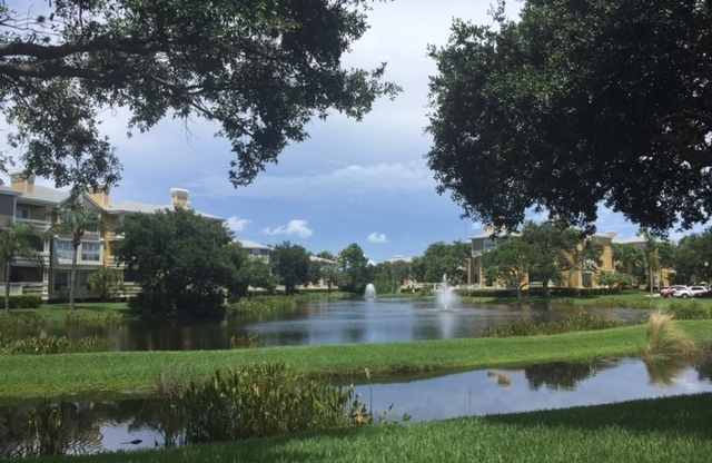 2 beds, 2 baths, $1,725