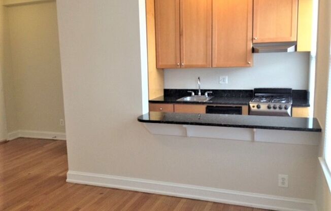 Studio, 1 bath, 458 sqft, $2,295, Unit H701