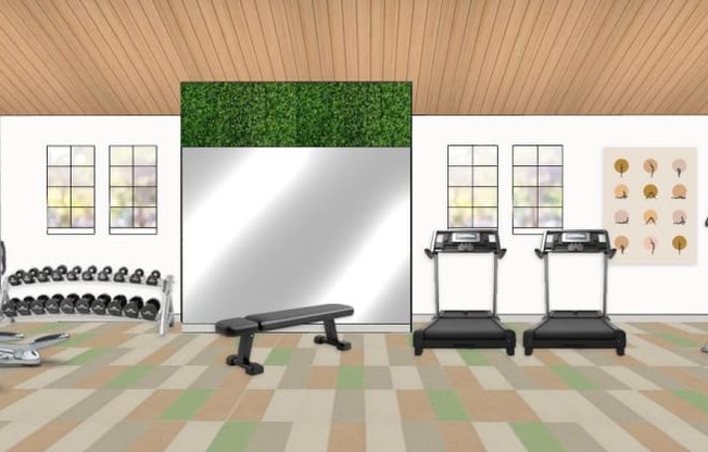 A gym with a green wall and a variety of exercise equipment.