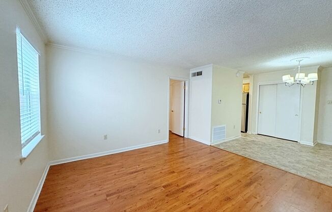 1 bed, 1 bath, $850