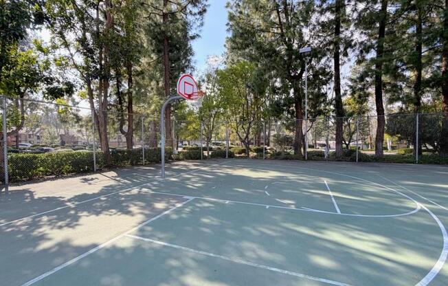 1 bed, 1 bath, 710 sqft, $2,400