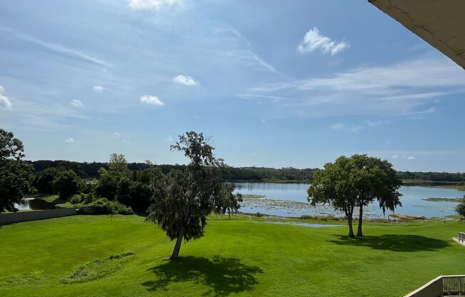 Amazing lake views, 3 bedrooms, 2 baths, Lake Brantley school district, great price, upgraded end unit Condo