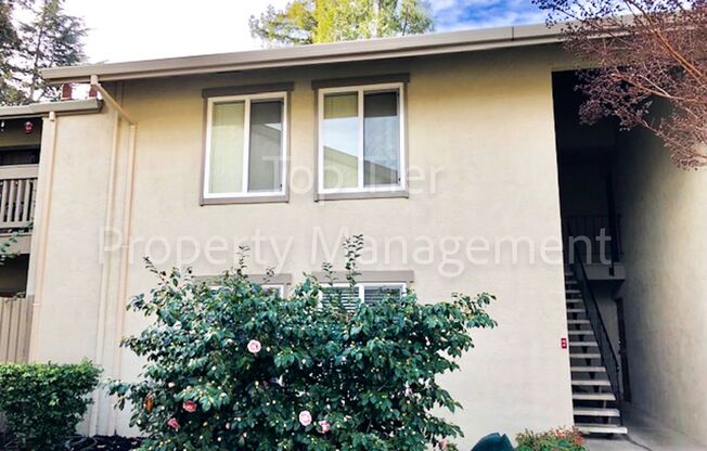 Meticulously renovated 2 Bd/1 Ba, 889 sf, ground-floor Walnut Creek condo!